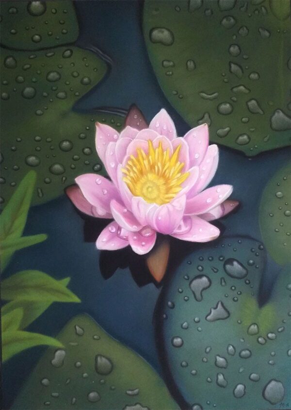 Lotus Flower