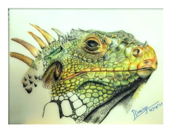 Iguana 1