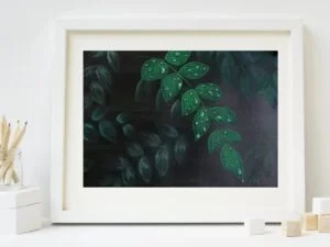 Leaves and Droplets
