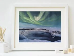 The Arctic