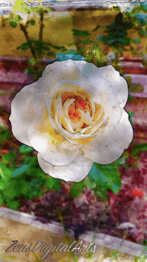 Buy Original and Affordable Filipino Art 3 Petals of Serenity