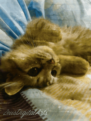 Buy Original and Affordable Filipino Art 3 Still Moments