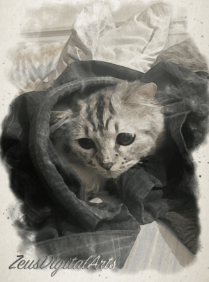 Buy Original and Affordable Filipino Art 5 Wrapped in Whiskers