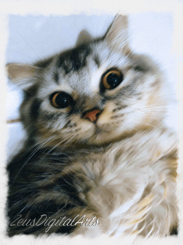 Cloud-Soft Kitty 1 Cloud-Soft Kitty