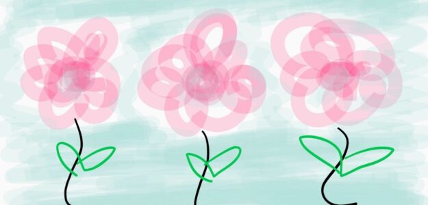 cropped photo 2026 01 09 19 54 23