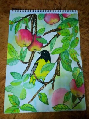 Some shade and apples